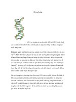 TÀI LIỆU VỀ DI TRUYỀN HỌC