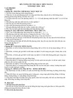 De cuong HKII Toan 8 CKTKN