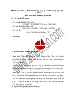 luận văn quản trị kinh doanh Tình hình kinh doanh của công ty TNHH thương mại Cẩm Linh