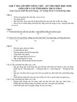 Đáp án Môn Tiếng Việt kỳ thi chọn HSG lớp 5 cấp tỉnh Bình Định