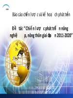 Chiến lược phát triển nông nghiệp, nông thôn giai đoạn 20112020