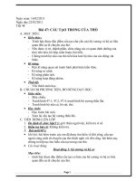 cấu tạo trong thỏ...doc