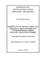 Nghiên cứu sử dụng cá Hòa Lan (Xiphophorus spp.) làm sinh vật cảnh báo sớm ô nhiễm do nước thải công nghiệp.