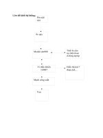 hệ thống tưới nhỏ giọt