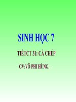 Bai 31: Ca chep