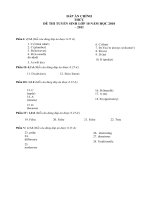 dap-an-Tieng-Anh-chung