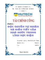 Tiểu luận môn tài chính công Độc quyền tự nhiên và điều tiết của Nhà nước trong lĩnh vực điện