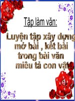 TAP LAM VAN TUAN 32 T1