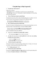 Câu phức hợp và đại từ quan hệ trong tiếng anh