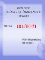 BÁO CÁO TIỂU LUẬN CƠ LƯU CHẤT - NHÓM 1 -ĐẠI HỌC CÔNG NGHIỆP TPHCM