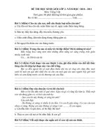 đề thi hsg lớp 2- môn tiếng việt