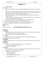 Đặc điểm bên ngoài- cấu tạo trong lá