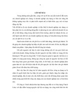 luận văn kế toán thương mại Hoàn thiện hạch toán nguyên vật liệu, công cụ dụng cụ tại Công ty Trách nhiệm hữu hạn thương mại đầu tư và xây dựng Thạch Lâm