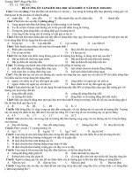 de cuong on tap ky 2 VL 11