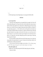 Dao động mạng tinh thể biến dạng tổng quát và phổ năng lượng của chúng