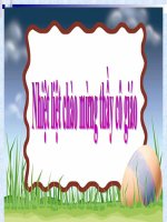 bài 61.Trao đổi chất ở thực vật