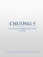 CHƯƠNG 5 CẦU THANG THÉP VÀ BỂ NƯỚC NGẦM