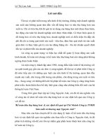 luận văn kế toán thương mại  Kế toán tiêu thụ hàng hoá & xác định kết quả tại Chi Nhánh Công ty TNHH Sản xuất và thương mại Nguyên Anh