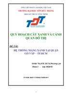 BÁO CÁO QUY HOẠCH CÂY XANH VÀ CẢNH  QUAN ĐÔ THỊ HỆ THỐNG MẢNG XANH TẠI QUẬN GÒ VẤP