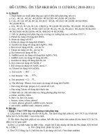 ĐỀ CƯƠNG ÔN TẬP HKII - HÓA 11 CƠ BẢN