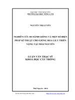 Nghiên cứu so sánh giống và một số biện pháp kĩ thuật cho giống hoa lily triển vọng tại Thái Nguyên