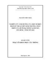 Nghiên cứu ảnh hưởng của một số biện pháp kỹ thuật đến sinh trưởng, phát triển của bưởi Đại Minh tại huyện Yên Bình, tỉnh Yên Bái