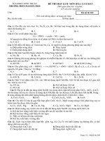 kiểm tra học kì II lớp 12-2 (phân loại hsinh)