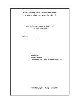 MAU BAI VIET THU HOACH CHINH TRI