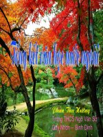 TONG KET VAN HOC NUOC NGOAI