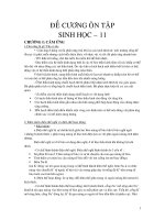 de cuong sinh 11