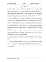 Đồ án tốt nghiệp ngành kĩ thuật thủy điện