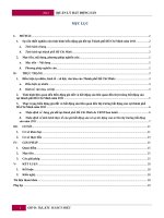 BÁO CÁO VỀ THỊ TRƯỜNG BẤT ĐỘNG SẢN THÀNH PHỐ HỒ CHÍ MINH NHÓM II