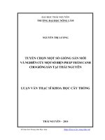 Tuyển chọn một số giống sắn mới và nghiên cứu một số biện pháp thâm canh cho giống sắn tại Thái Nguyên