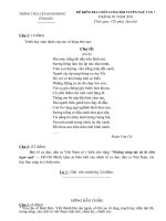 Đề thi HSG 7 co đap an chi tiet