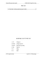 Hoàn thiện kế toán nguyên vật liệu tại Công ty Cổ phần Đầu tư Phát triển Sản xuất Hoàng Minh