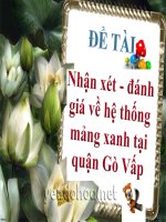 BÁO CÁO ĐÁNH GIÁ HỆ THỐNG CÂY XANH QUẬN GÒ VẤP