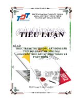 BÁO CÁO THỰC TRẠNG THỊ TRƯỜNG BẤT ĐỘNG SẢN TRÊN ĐỊA BÀN TỈNH ĐỒNG NAI