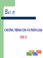 Bai 17 Tiet 1:chuong trinh con va phan loai