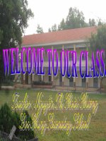 Tiếng Anh 7- Unit 12: Lesson 1: A 1