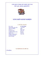 SKKN về công tác thư viện