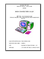 BÁO CÁO BÀI TIỂU LUẬN ĐÊ TÀI NGĂN XẾP,HÀNG ĐỢI TÍNH GIÁ TRỊ BIỂU THỨC THEO PHƯƠNG PHÁP NGHỊCH ĐẢO BA LAN