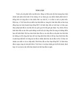 Pháp luật về hợp đồng hợp tác kinh doanh thực tiễn áp dụng tại các doanh nghiệp Việt Nam