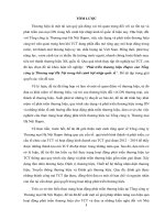 Phát triển thương hiệu hapro của tổng công ty thương mại hà nội trong bối cảnh hội nhập quốc tế