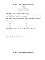 Bộ đề thi khảo sát học sinh giỏi hàng tháng toán, Tiếng Việt lớp 5