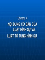 Bài giảng nội dung cơ bản của luật hình sự và luật tố tụng hình sự