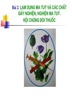 Lồng ghép giáo dục môi trường vào môn địa lí