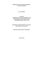 tóm tắt luận án study on the biological characteristics and induced spawning of spotted scat