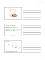 Bài giảng vê ngộ độc sắn ở vật nuôi