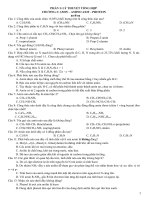 amin và các dạng bài tập chính