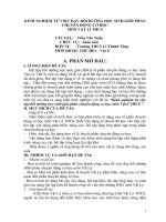 KINH NGHIỆM TỪ VIỆC DẠY BỒI DƯỠNG HỌC SINH GIỎI PHẦN CHUYỂN ĐỘNG CƠ HỌCMÔN VẬT LÍ THCS